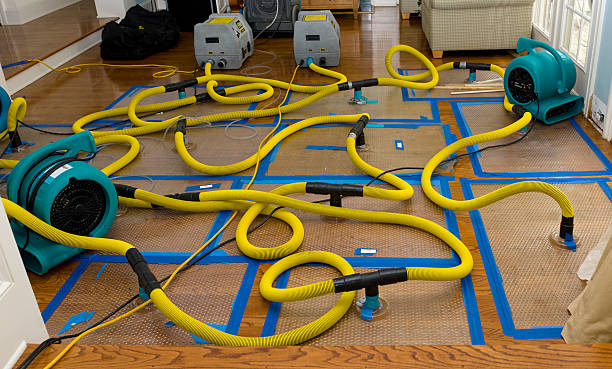 Professional Crawl Space Water Removal technician working in Staples, TX
